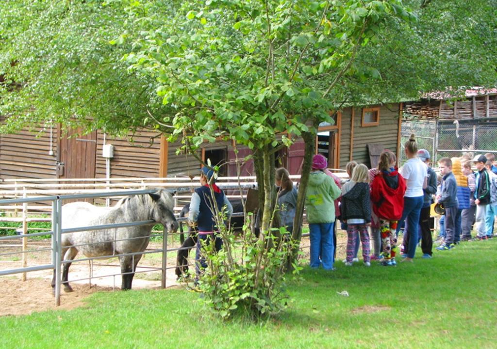 Ziolowa Dolina Olsztyn  Exterior foto
